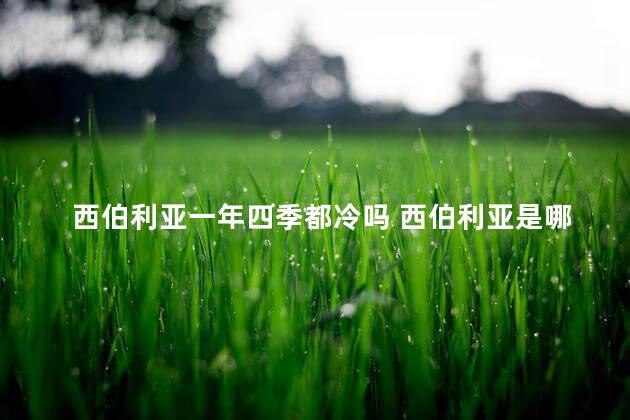 西伯利亚一年四季都冷吗 西伯利亚是哪个国家